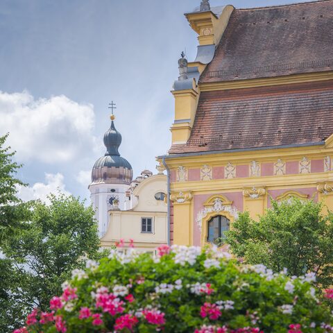 Bibliothek St. Peter
© Dietmar Denger
Quelle: Stadt Neuburg an der Donau/Frau Dusse