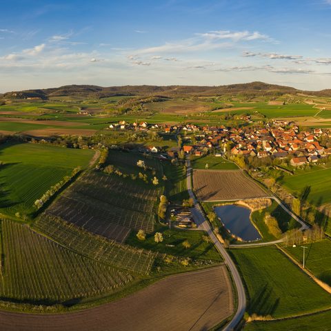 Reusch Fotograf: Markus Ixmeier Quelle: Weinparadies Franken