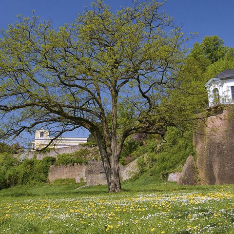 Mainufer mit Frühstückstempel und Pompejanum © Till Benzin. Quelle: Kongress- und Touristikbetriebe der Stadt Aschaffenburg 