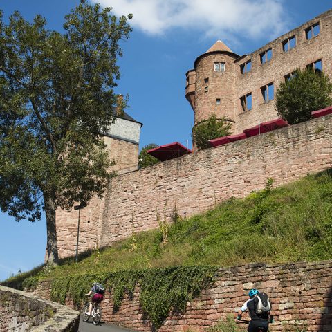 
Burg Wertheim ©TOURISMUS REGION WERTHEIM/SpessartMainland/Holger Leue