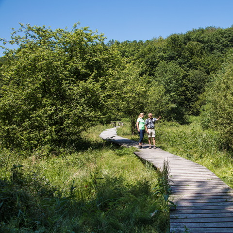 Rothenbuch: Bohlensteg im Hafenlohrtal
© Gemeinde Rothenbuch/ Spessart-Mainland/ TV e.V. RÄUBERLAND/ Holger Leue
