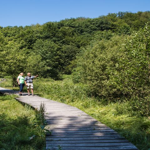 Rothenbuch: Bohlensteg im Hafenlohrtal
© Gemeinde Rothenbuch/ Spessart-Mainland/ TV e.V. RÄUBERLAND/ Holger Leue
