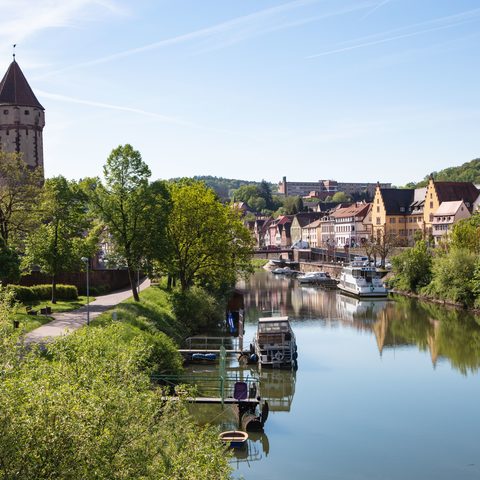 Tauberufer © TOURISMUS REGION WERTHEIM/SpessartMainland/Holger Leue