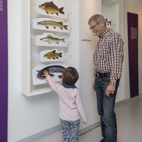 Museum FLUVIUS© Touristikservice  Wassertrüdingen