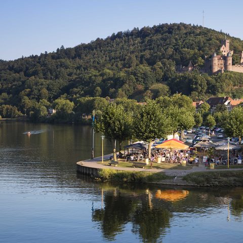 Stadtstrand mit Burg Wertheim ©TOURISMUS REGION WERTHEIM GmbH/SpessartMainland/Holger Leue