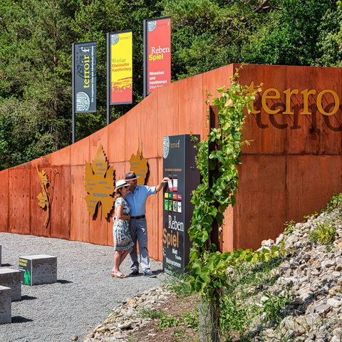 Eibelstadt terroir f © Ronald Grunert-Held