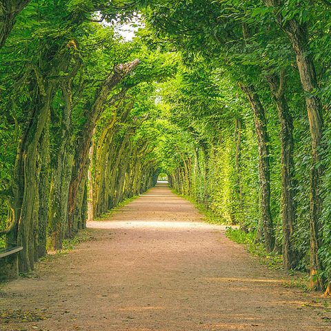 © Bayreuth Marketing & Tourismus GmbH, Meike Kratzer