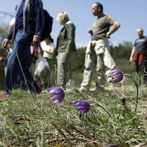 Naturschutzgebiete © Stadt Karlstadt