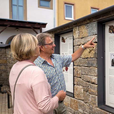 Laubhütte Kloster © Michael Kopp Fotokoppter  Quelle: ZweiUferLand Tourismus e.V.
