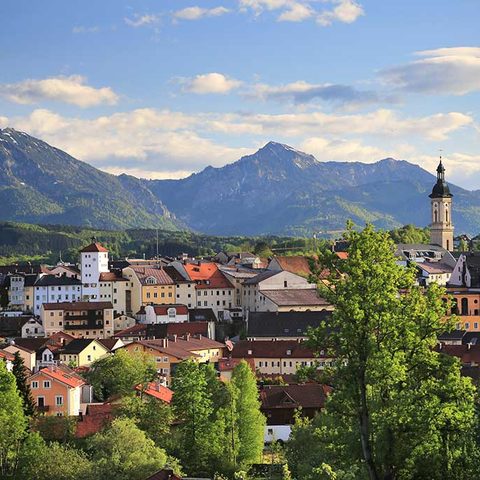 Stadtpanorama Traunstein ©Sepp Niederbuchner / NIEDERBUCHNER SEPP  OED 1