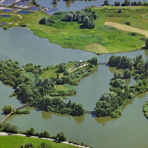 Vogelinsel Quelle: Altmühlsee Informationszentrum Touristbüro Foto: R07101205 Luftbild Vogelinsel Hajo Dietz Nürnberg Lufbild. 