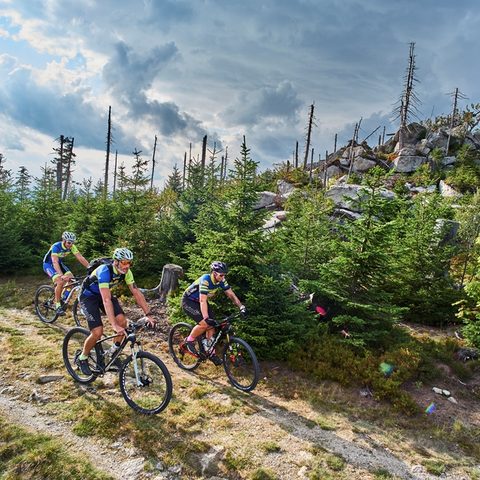 TBW Landkreis Freyung-Grafenau Dreisessel © Foto TVO woidlife-photography.de Quelle: Tourismusverband Ostbayern e.V.