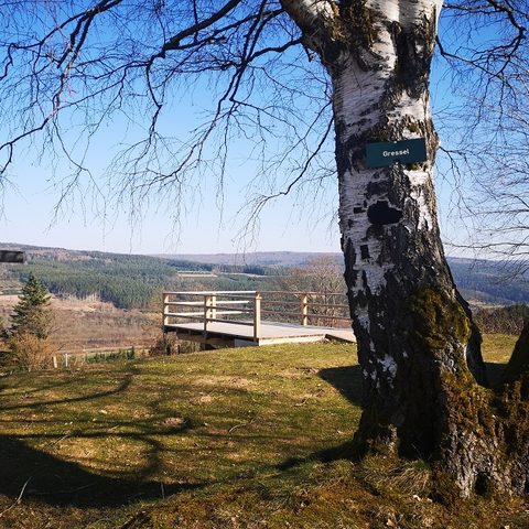 Mittelsinn - Schau ins Land - Plattform © Verwaltungsgemeinschaft Burgsinn