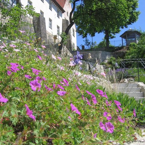 Terrassengärten Hollfeld Quelle: Touristinformation Hollfeld / Heike Blume