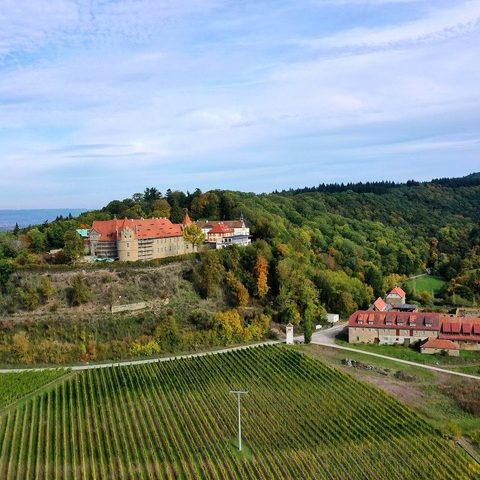 Schloss Frankenberg von oben Quelle: Weinparadies Franken