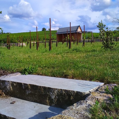 Der Nordheimer Friedweinberg, geweiht im Dezember 2018 Quelle: Touristikrat Nordheim am Main