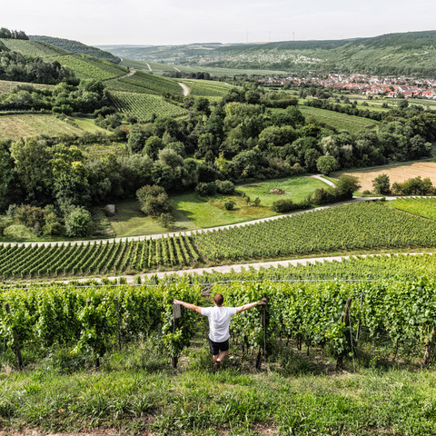 Matthias Bickel-Stumpf, Frickenhausen - Thüngersheim © Stefan Bausewein.
