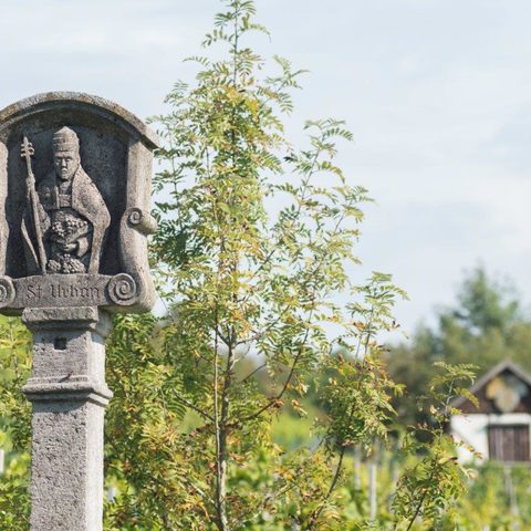Museumsweinberg_Bildstock St Urban Quelle: Stadt Röttingen  Foto: H-J Hummel