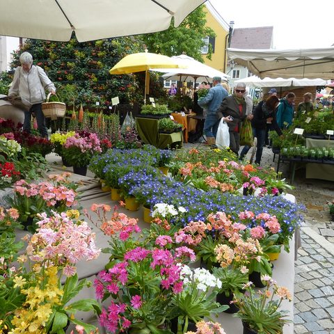 Markt © Tourist-Information Wemding