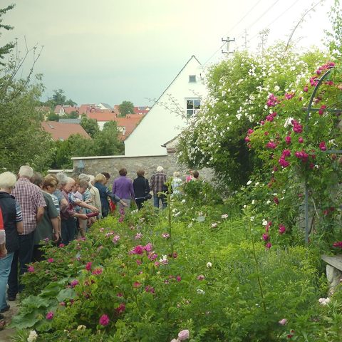 Rosengarten ©  Tourist-Information Wemding