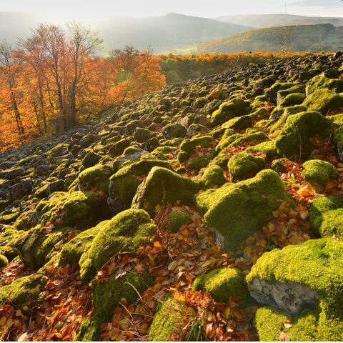 Schafstein © Gemeinde Ehrenberg (Rhön)