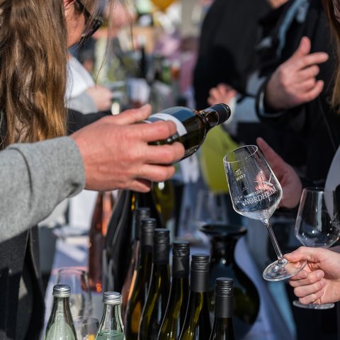 Impressionen von der Jungweinpräsentation zur Mandelblüte in der Hauptstraße Quelle: Touristikrat Nordheim am Main