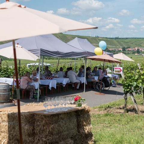 „SinnesWandeln“ – ein ganz besonderes kulinarisches Erlebnis mitten in der Natur Quelle: Touristikrat Nordheim am Main
