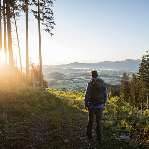 Königsalpen © Peter von Felbert