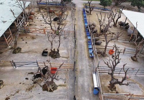 Photograph of animal enclosure in Meishan Nursing Park, 2017