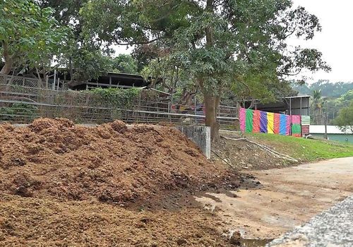 Photograph of dung pile in Meishan Nursing Park, 2017