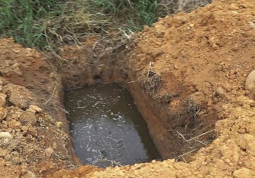Photograph of animal burial pit in Meishan Nursing Park, 2017
