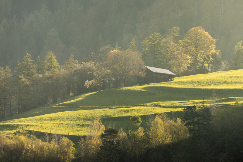 Das erste Licht trifft einen Stall Richtung Says, Graubünden