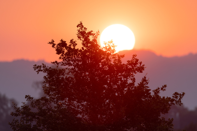 Sonnenaufgang im St. Galler Rheintal