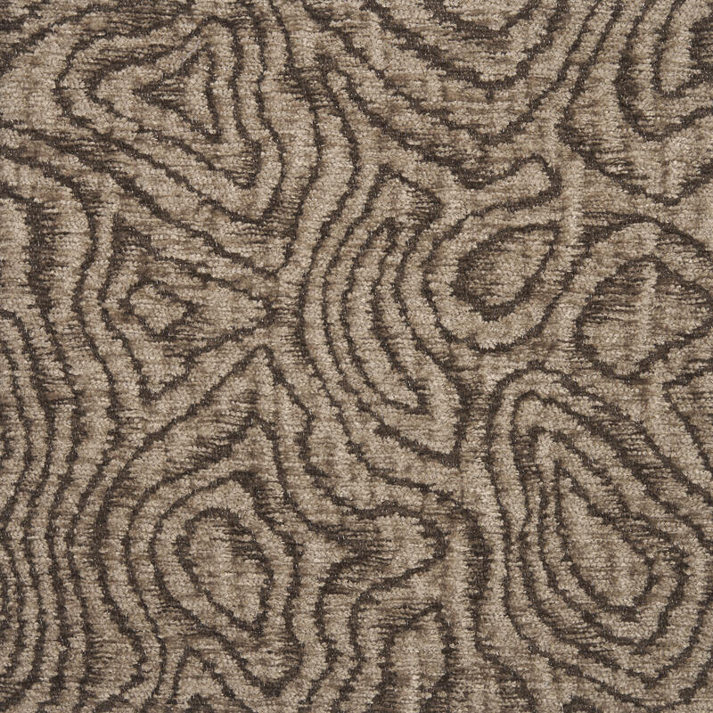 BARK col. 121 TORTORA