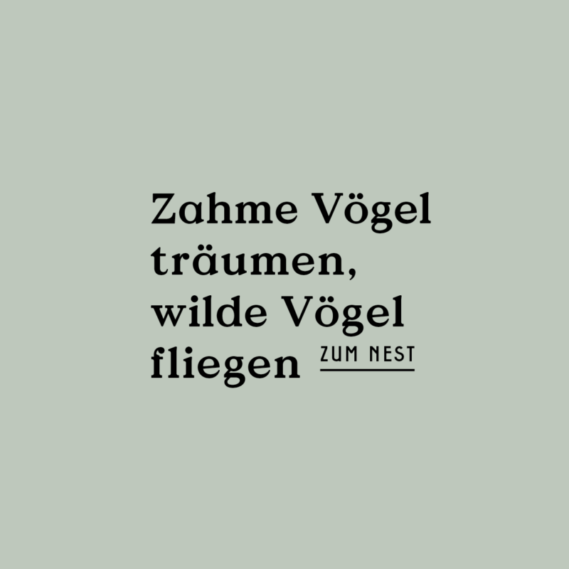 Zitat "Zahme Vögel träumen, wilde Vögel fliegen"